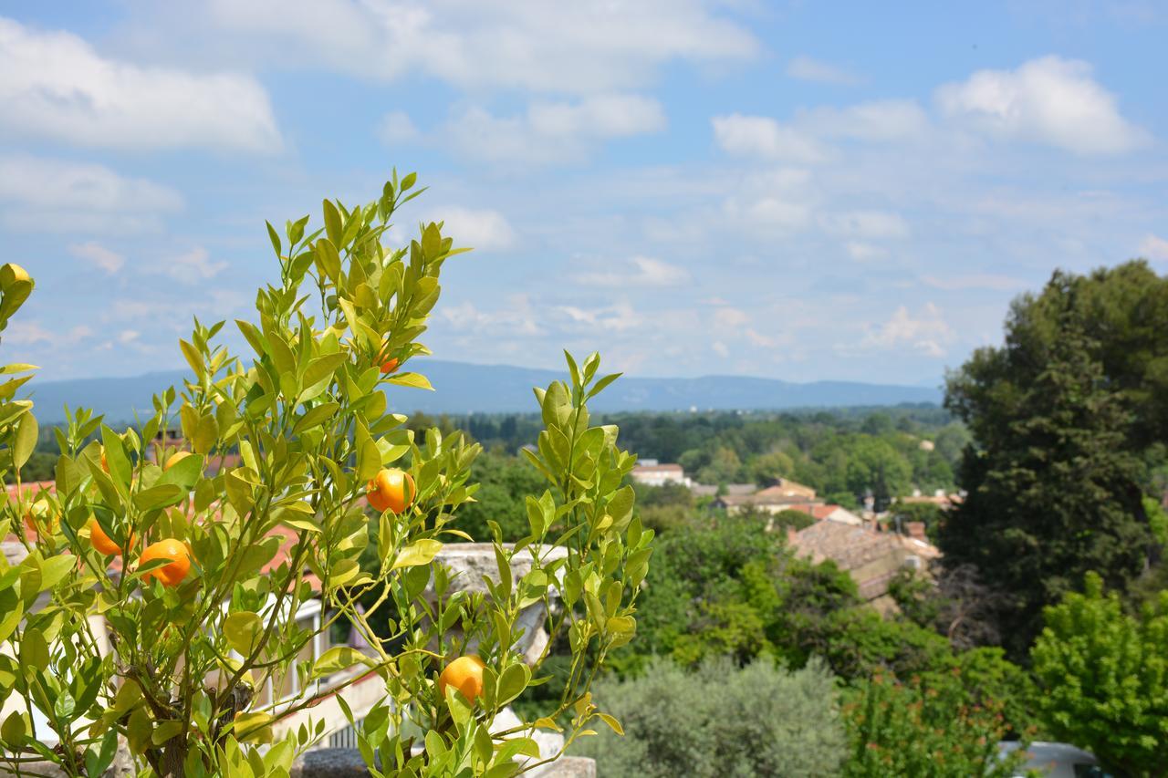 Le Petit Chateau Chateauneuf-de-Gadagne Ngoại thất bức ảnh